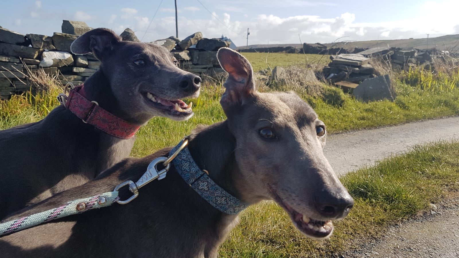 2019-05-18_Erin_Sophia0036