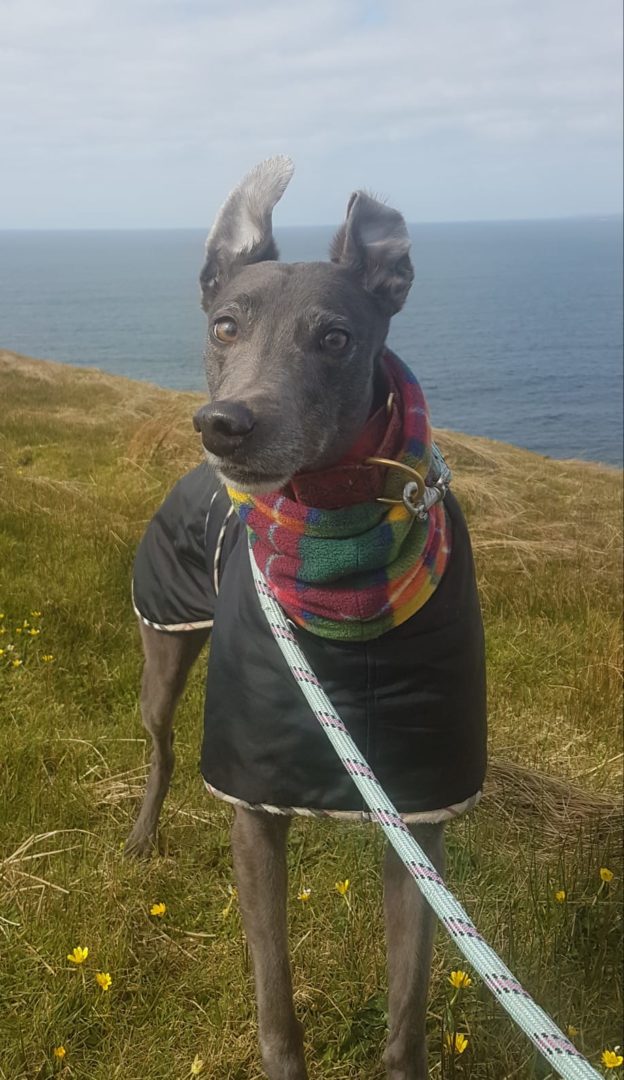 2019-05-18_Erin_Sophia0037