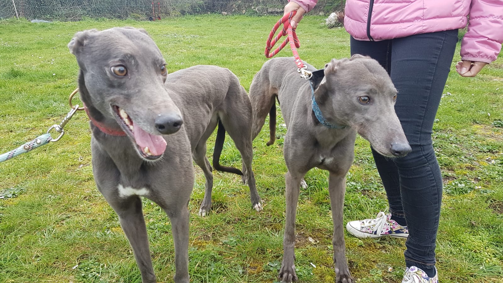 2019-05-18_Erin_Sophia0038