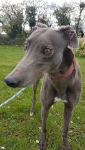 2019-05-18_Erin_Sophia0039