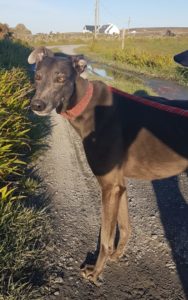 2019-05-18_Erin_Sophia0040