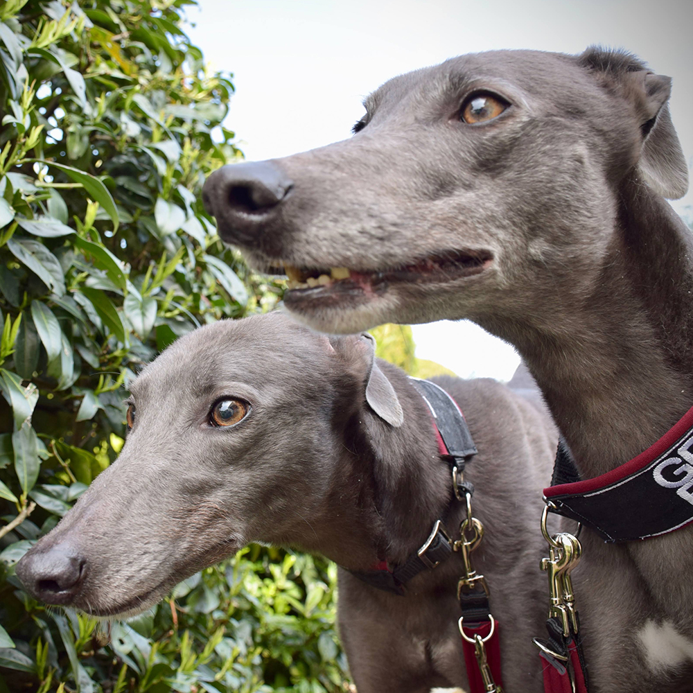 2019-05-18_Erin_Sophia0044