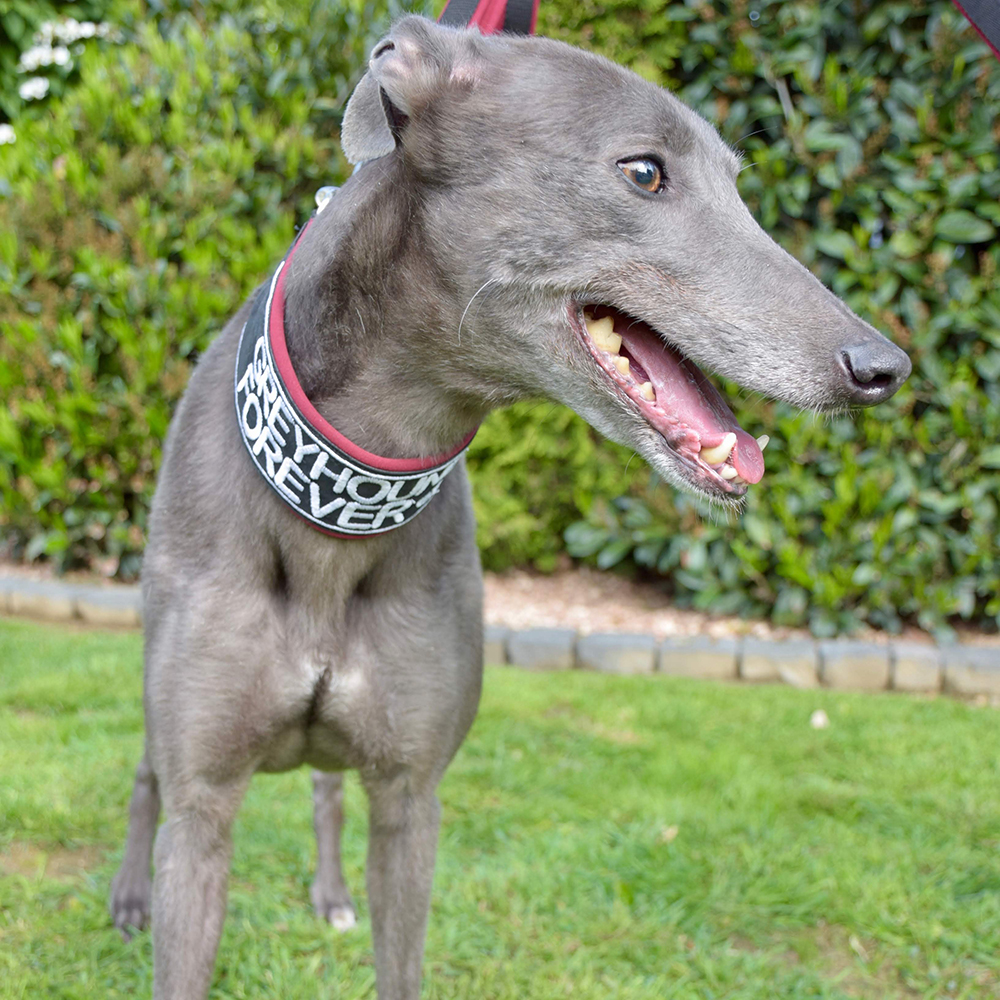 2019-05-18_Erin_Sophia0048