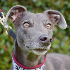 2019-05-18_Erin_Sophia0049