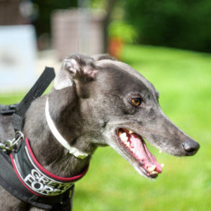 2019-05-18_Erin_Sophia0056