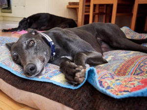 2019-09-13_Erin_Sophia0002