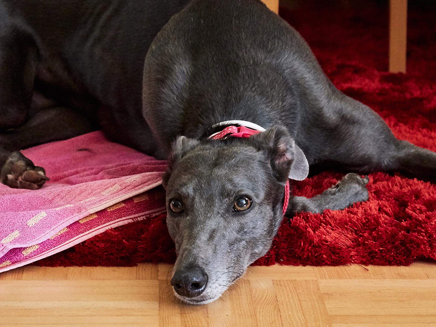 2019-09-13_Erin_Sophia0003