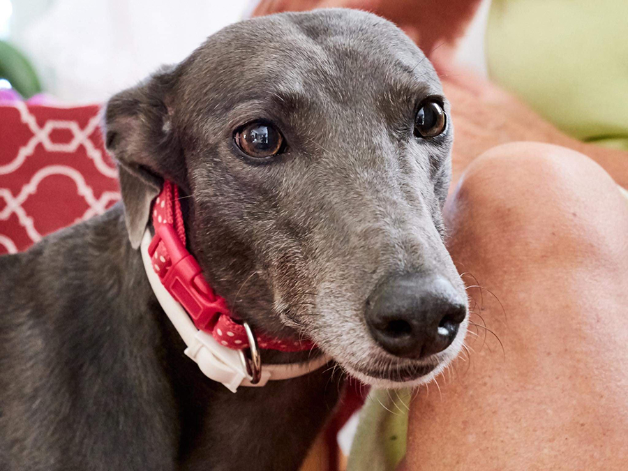 2019-09-13_Erin_Sophia0004