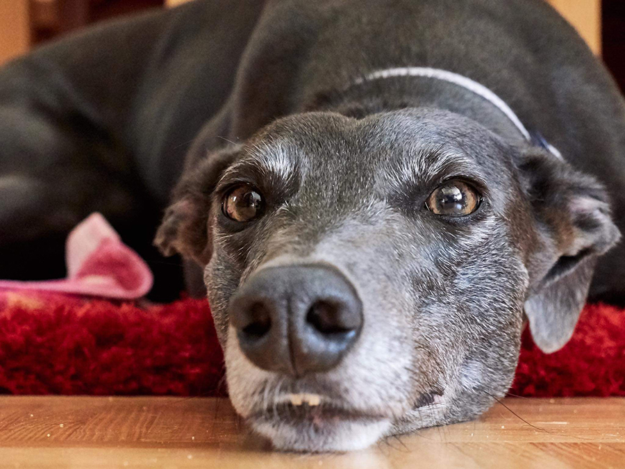 2019-09-13_Erin_Sophia0005