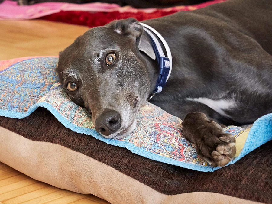 2019-09-13_Erin_Sophia0009