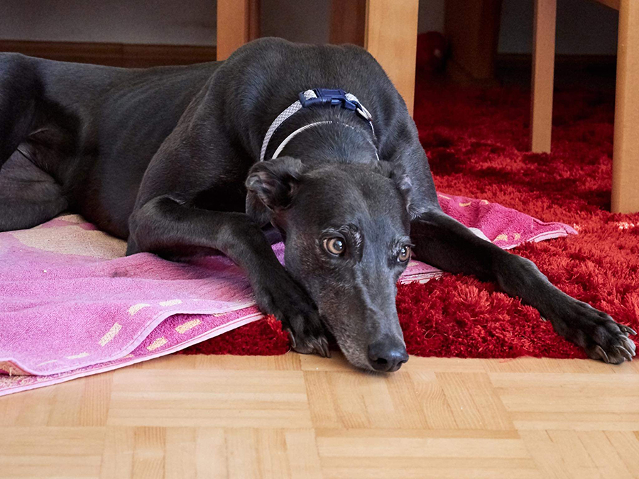 2019-09-13_Erin_Sophia0010