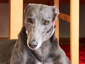 2019-09-13_Erin_Sophia0012