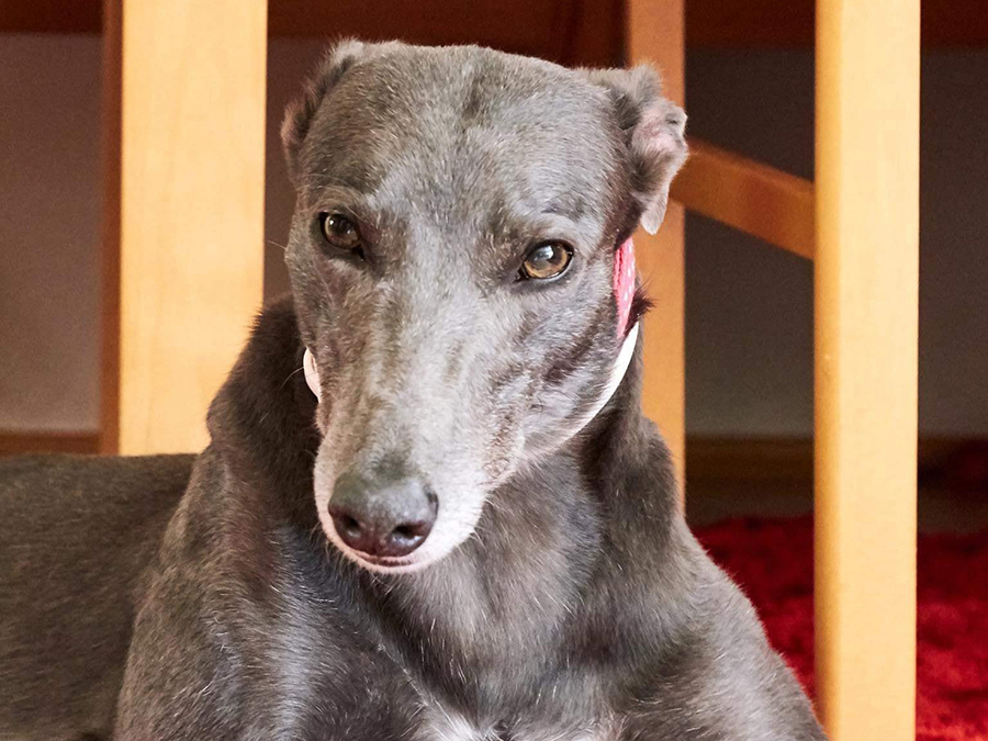 2019-09-13_Erin_Sophia0012