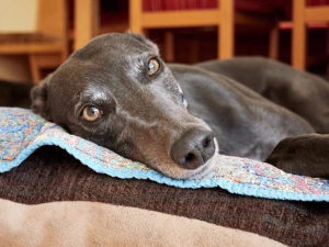 2019-09-13_Erin_Sophia0013