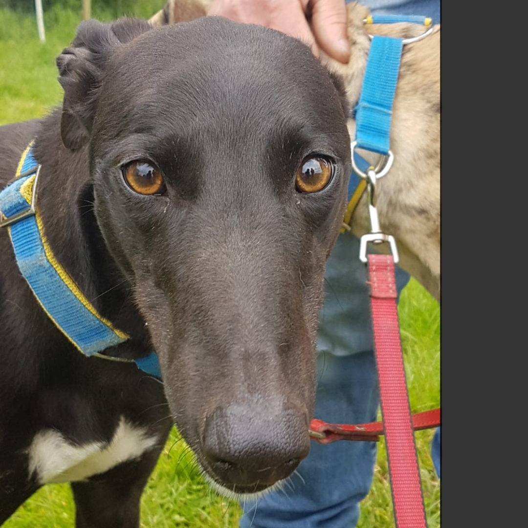 2019-07-06_Ertha0006