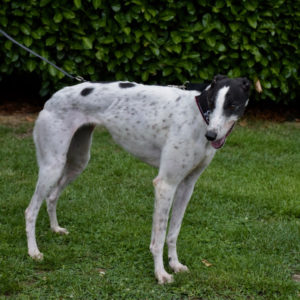 2019-05-17_Clara0001