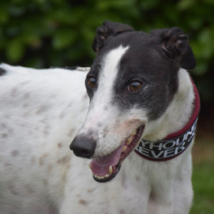 2019-05-17_Clara0003