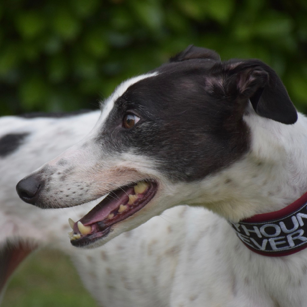 2019-05-17_Clara0004