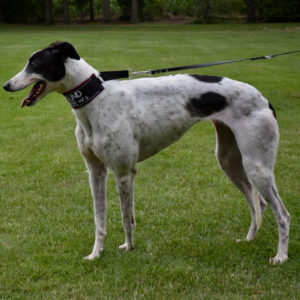 2019-05-17_Clara0005