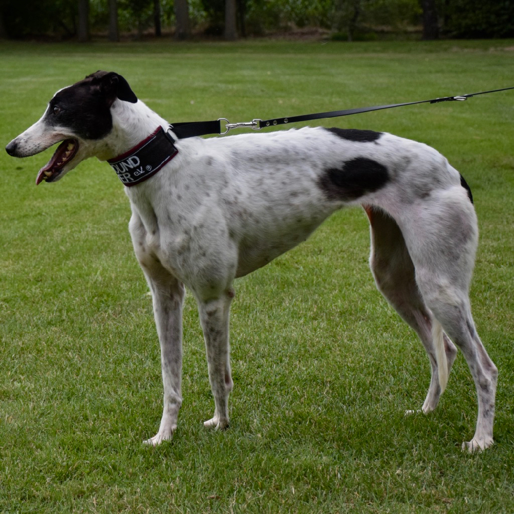 2019-05-17_Clara0005