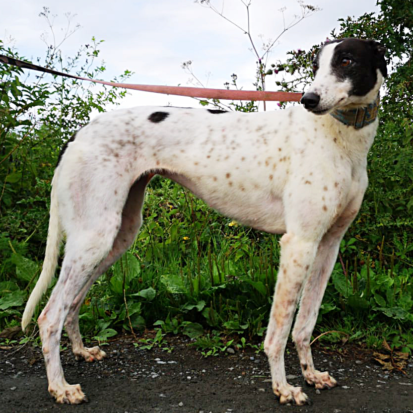2019-05-17_Clara0011