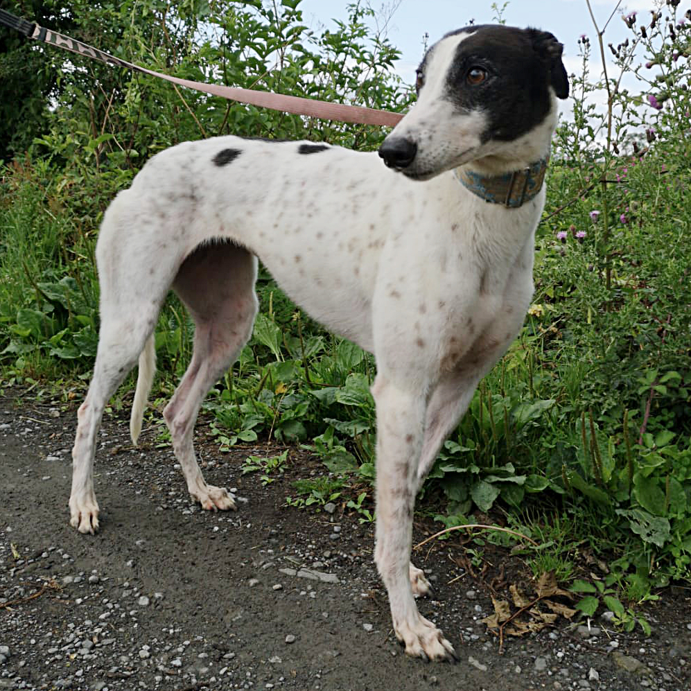 2019-05-17_Clara0014