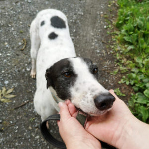 2019-05-17_Clara0015