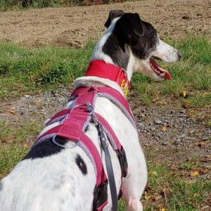 2019-05-17_Clara019