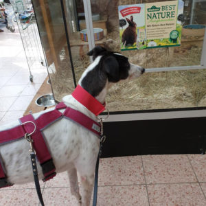 2019-05-17_Clara020