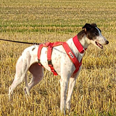 2019-05-17_Clara021