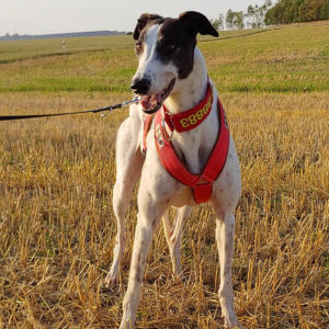2019-05-17_Clara023