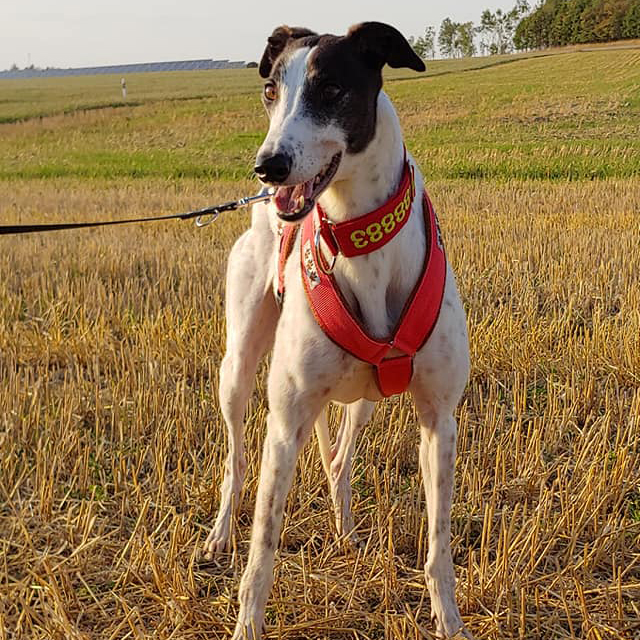 2019-05-17_Clara023