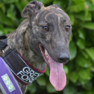 2019-08-17_Tully0001