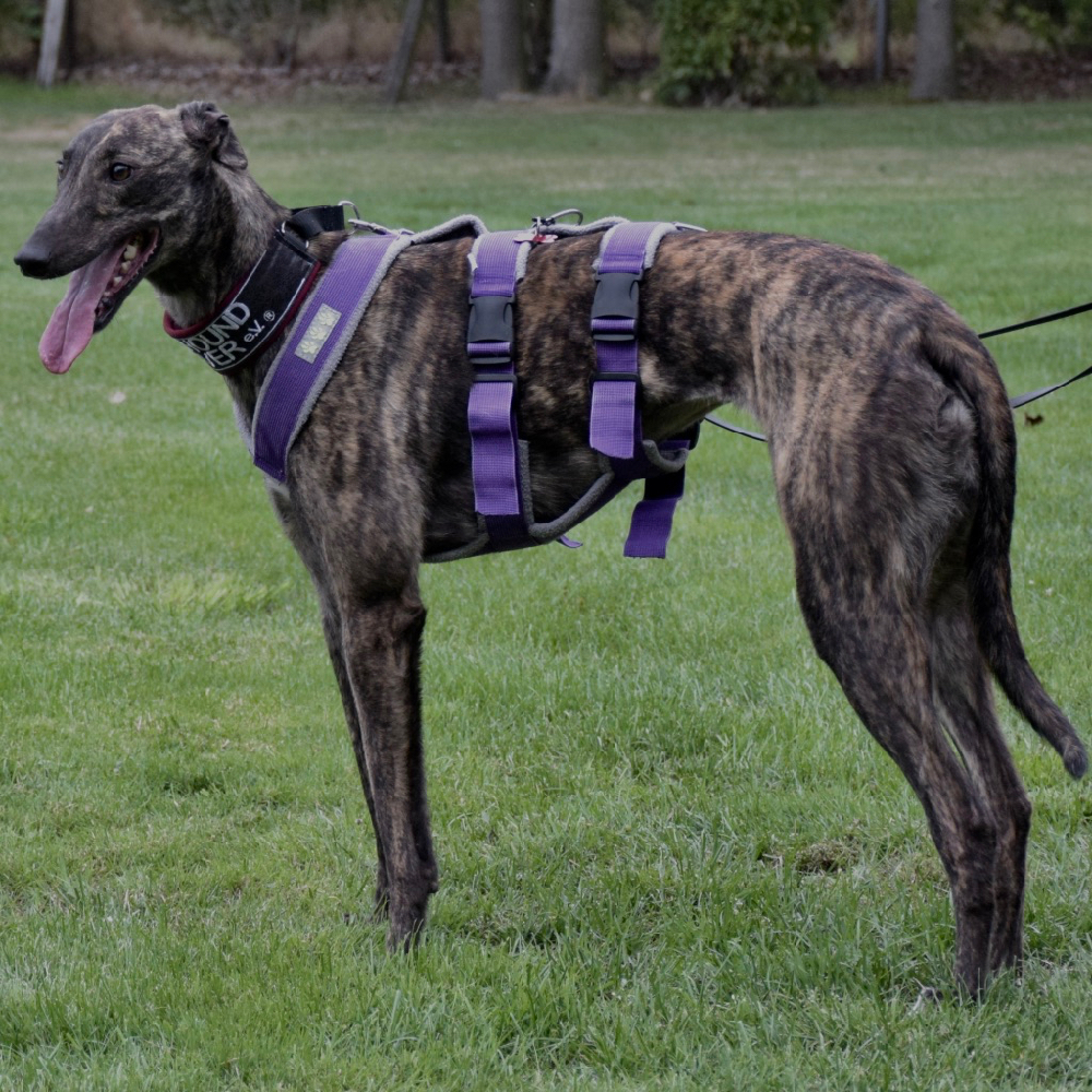 2019-08-17_Tully0003