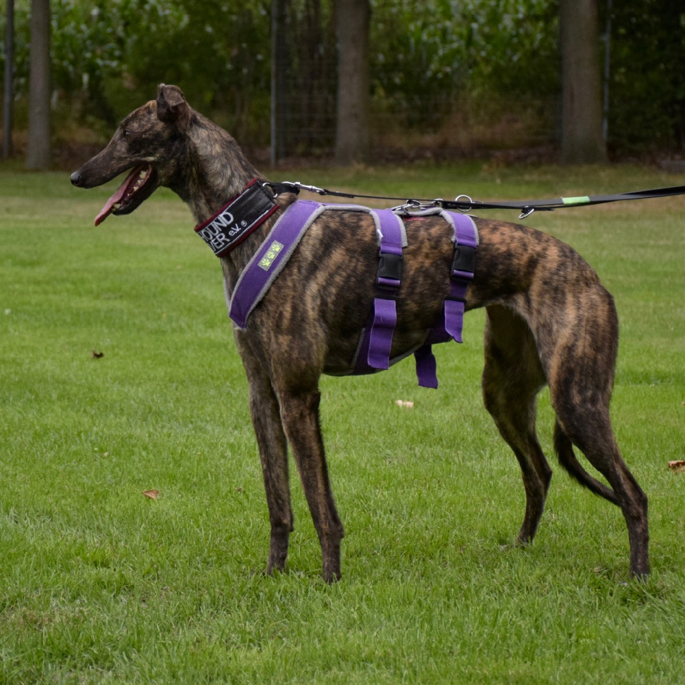 2019-08-17_Tully0004