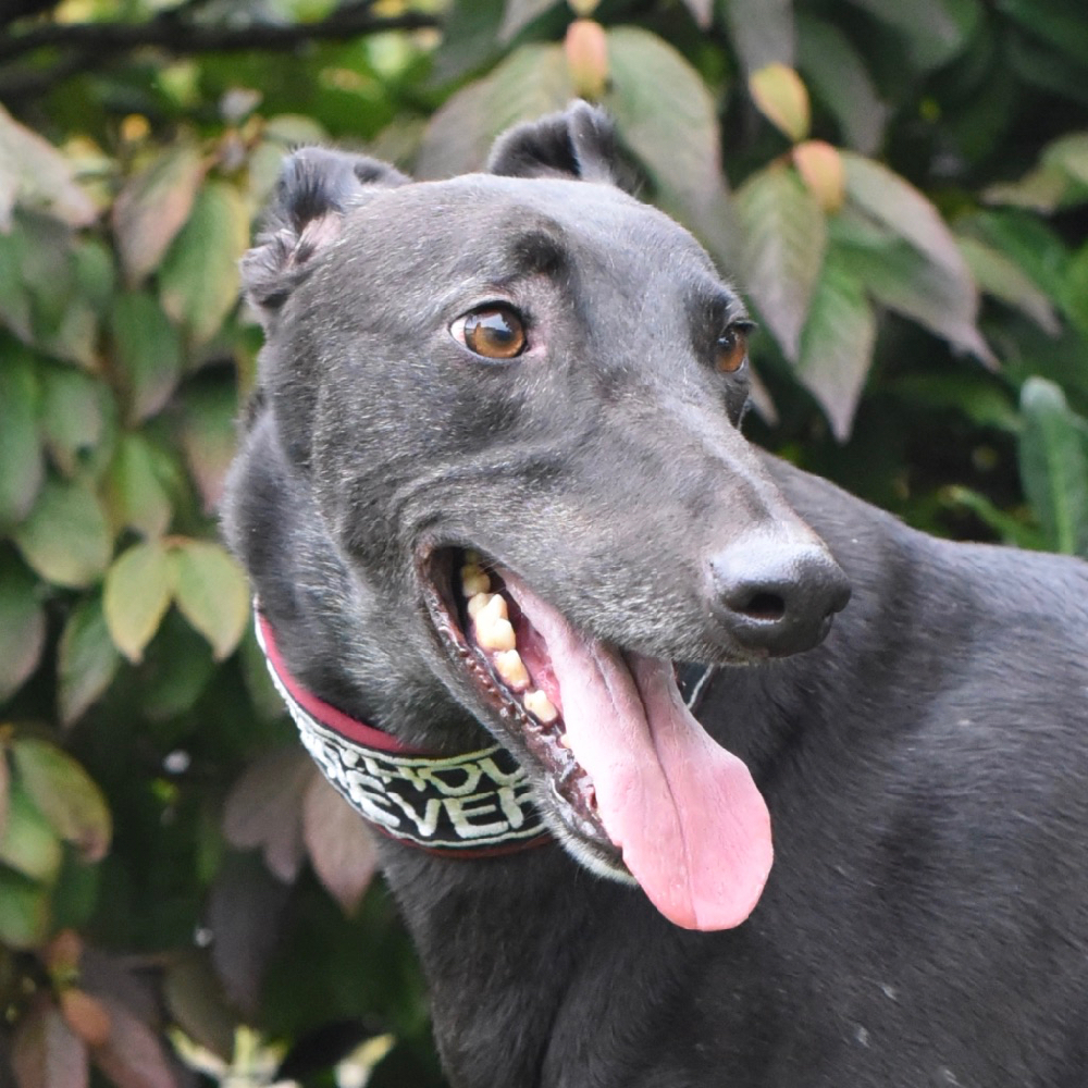 2019-09-03_Felix0002