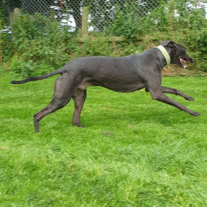 2019-09-03_Felix0008