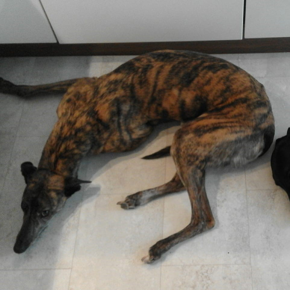 2019-08-03_Folly0007