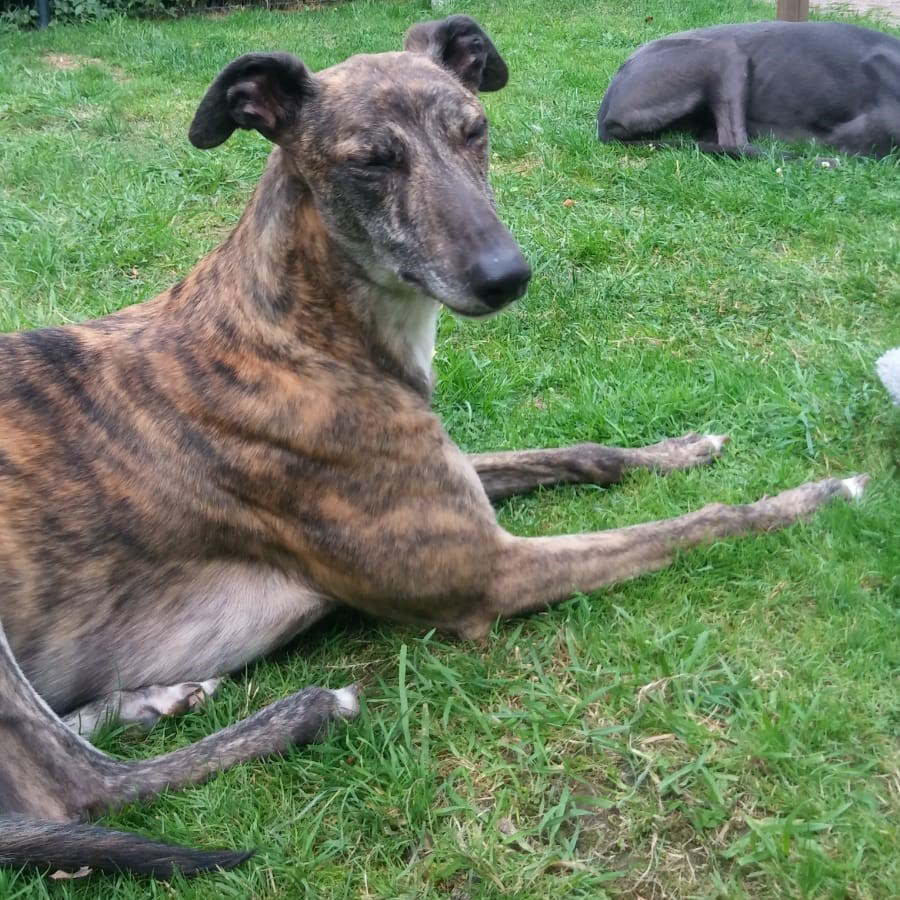 2019-08-03_Folly0016