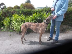 2019-08-03_Folly0018