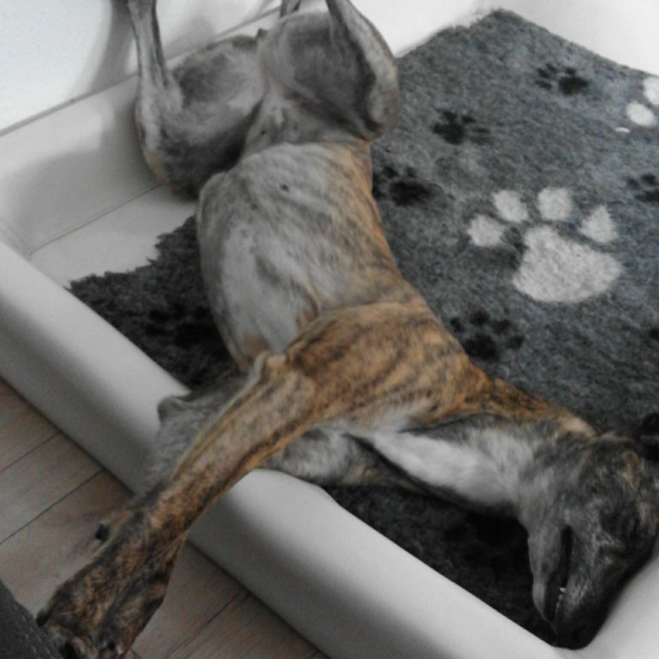 2019-08-03_Folly0022