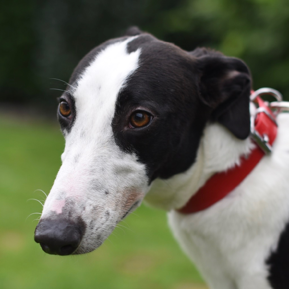 2019-09-03_Jessie0001