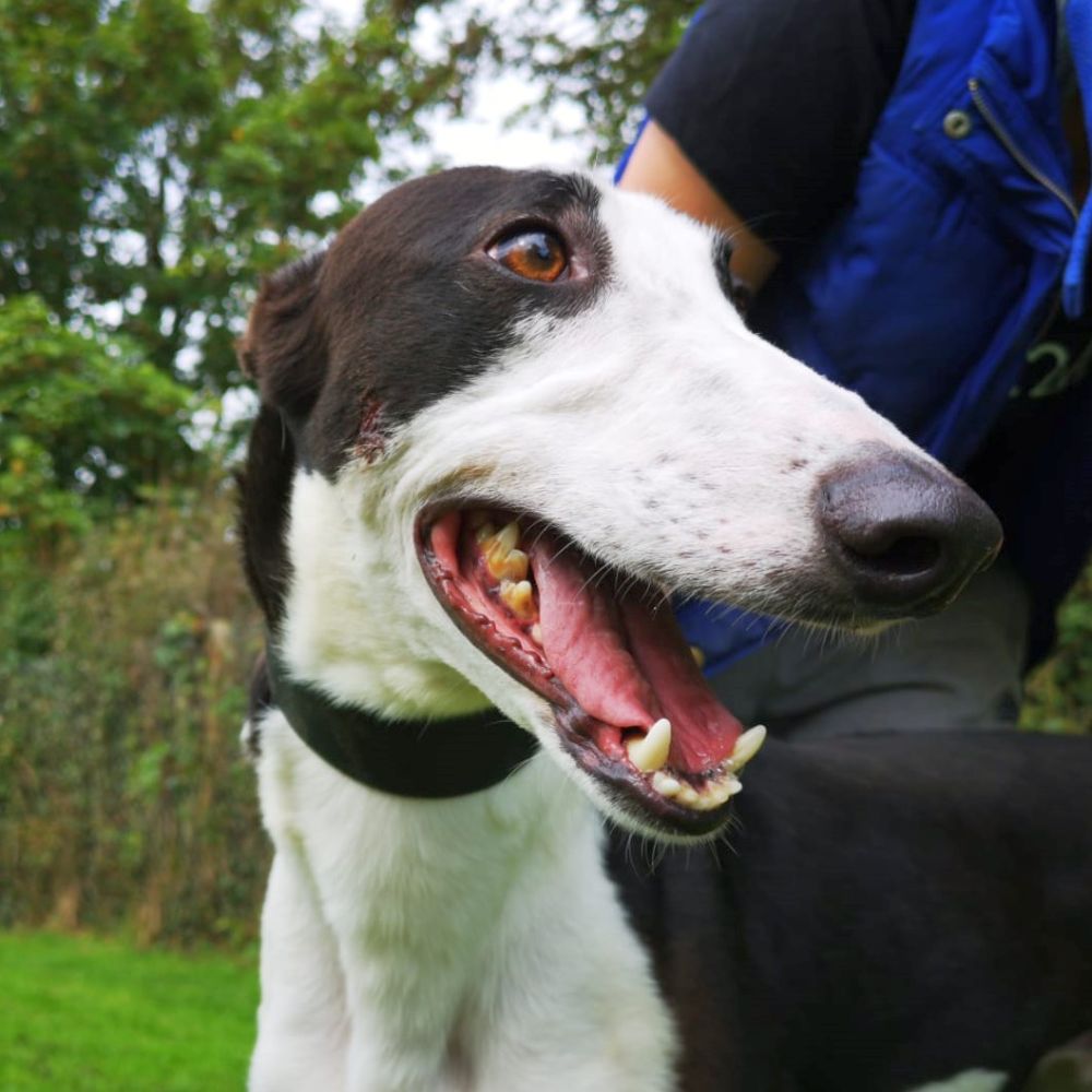 2019-09-03_Jessie0008