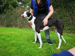 2019-09-03_Jessie0009