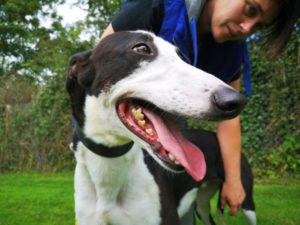 2019-09-03_Jessie0012