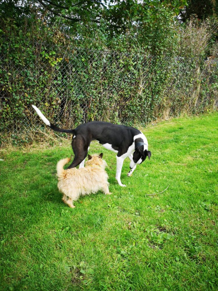 2019-09-03_Jessie0013