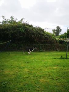 2019-09-03_Jessie0015