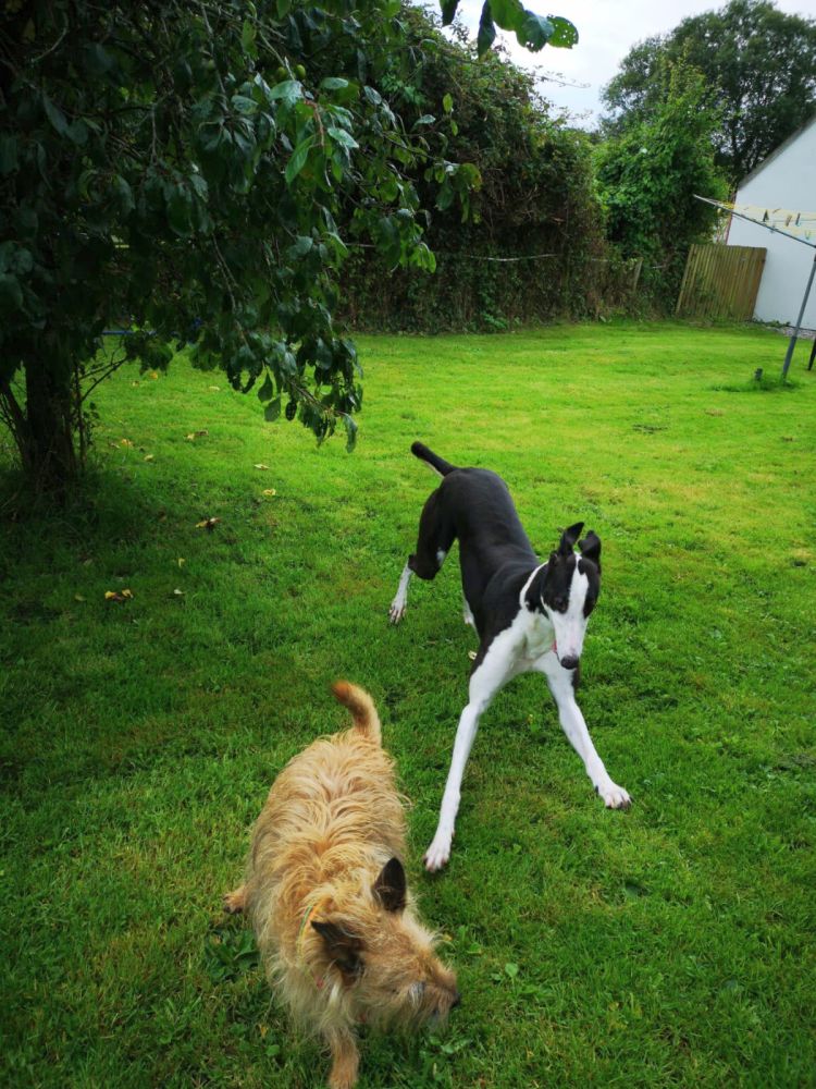 2019-09-03_Jessie0016