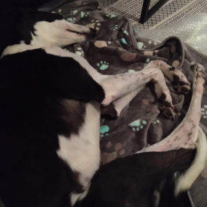 2019-09-03_Jessie0017