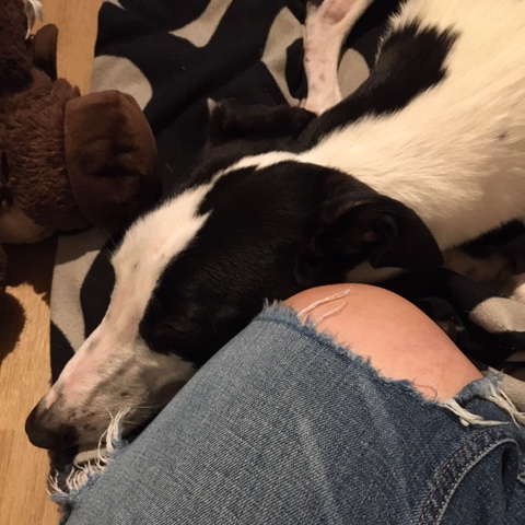 2019-09-03_Jessie0019